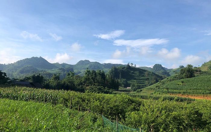 Những triền núi nối liền nhau mãi.