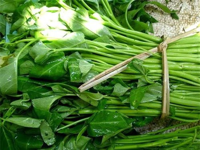 Rau muống nước ăn giòn, ngọt và đậm hơn rau muống cạn nên được người tiêu dùng ưa chuộng. Tuy nhiên, rau muống trồng dưới nước bẩn chứa rất nhiều giun sán.