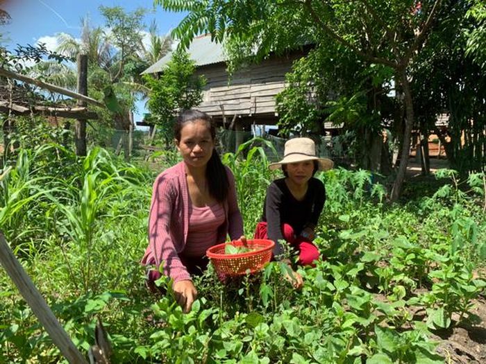 Nhờ được chi hội phụ nữ người Kinh giúp đỡ, hiện nay hầu hết hội viên người DTTS đã có vườn rau sạch cải thiện bữa ăn hằng ngày. Ảnh: V.C