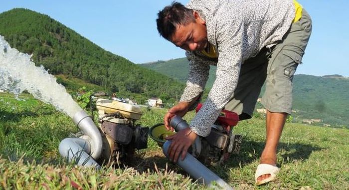 Nông dân Nghệ An căng mình cứu hoa màu.