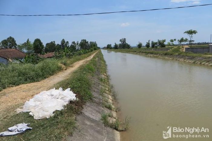 Khúc sông tìm thấy thi thể em Thành. Ảnh: Hồng Hải