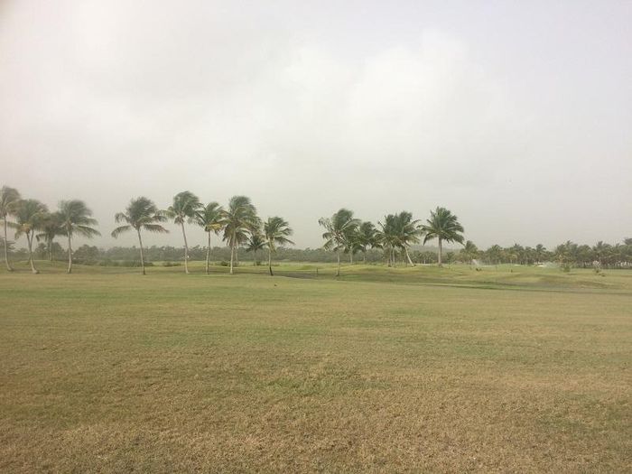 Rừng Quốc gia El Yunque trước và sau khi bị bụi từ sa mạc Sahara che mất núi. Ảnh: El Yunque.