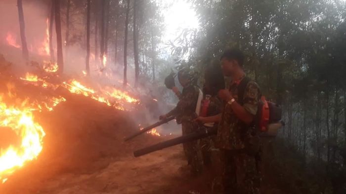  Dùng máy thổi và tiến hành thiết lập đường băng cản lửa.