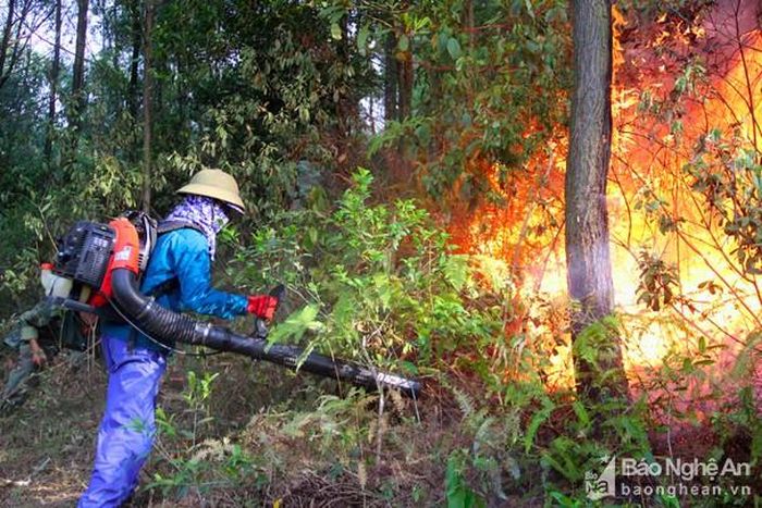 Các lực lượng căng mình dưới nắng nóng để dập lửa rừng suốt nhiều giờ đồng hồ. Ảnh:Văn Trường