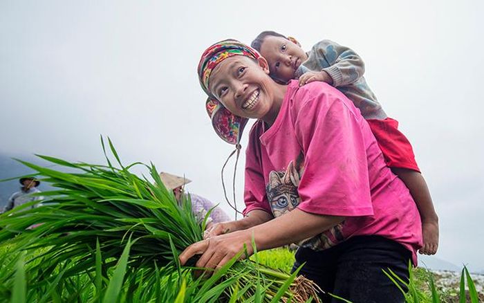 Chú bé Dao ở Bát Xát với ánh mắt bỡ ngỡ, lần đầu tiên được mẹ cõng theo đi cấy.