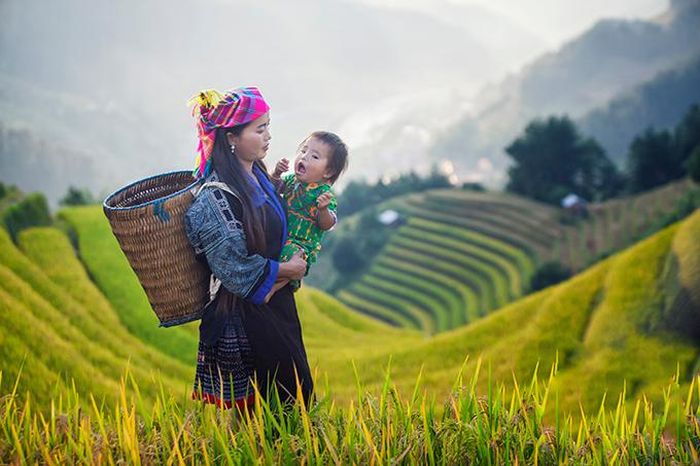 Hai mẹ con trên thửa ruộng bậc thang sắp thu hoạch tại Mù Căng Chải, Yên Bái.