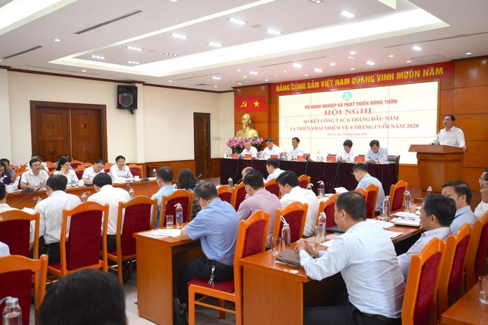 Toàn cảnh hội nghị. Ảnh: VGP/Đỗ Hương