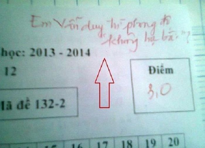Cứ nhìn những lời phê của giáo viên trong bài kiểm tra khi chấm bài cho học sinh mới biết, những lời phê khi thì chân thực, gần gũi lúc lại hài hước "xéo sắc".