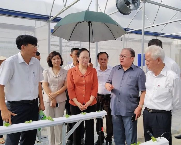Các đại biểu tham quan mô hình ứng dụng công nghệ cao về nông nghiệp tại Trung tâm Dạy nghề và Hỗ trợ.