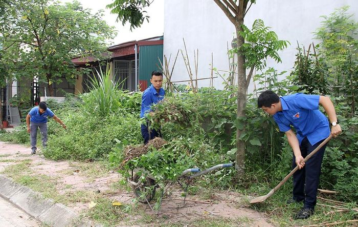 …cũng như phát quang bụi dậm đảm bảo môi trường sống luôn xanh-sạch-đẹp.