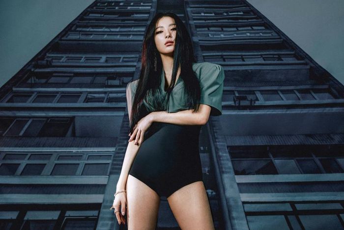  Trong khi đó, Seulgi (sinh năm 1994) đảm nhận vai trò nhảy chính. Cùng Irene, Seulgi thường có thời lượng lớn đứng vị trí trung tâm trong các tiết mục biểu diễn của Red Velvet. Nữ ca sĩ có khả năng vũ đạo điêu luyện, đẹp mắt và thần thái biểu diễn tự tin. 