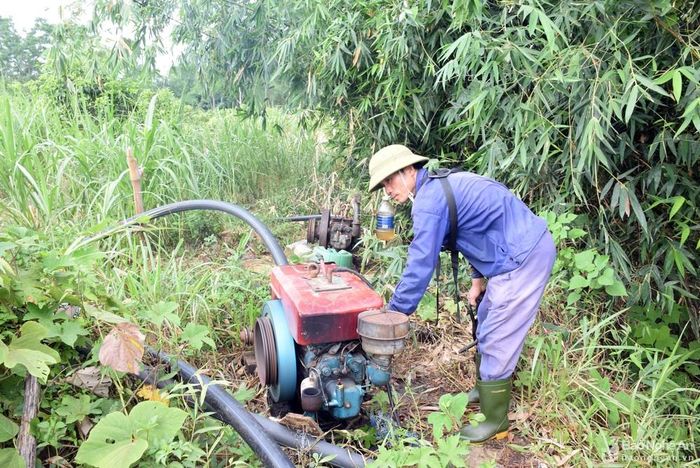 Để có nước tưới cho cam, nhiều hộ dân đầu tư lắp đặt máy bơm bên suối Lin chảy qua địa bàn xã Minh Hợp để bơm nước. Tuy nhiên chi phí mua máy móc, đường ống và dầu khá cao, khoảng 20 - 25 triệu đồng/ha. Ảnh: Xuân Hoàng