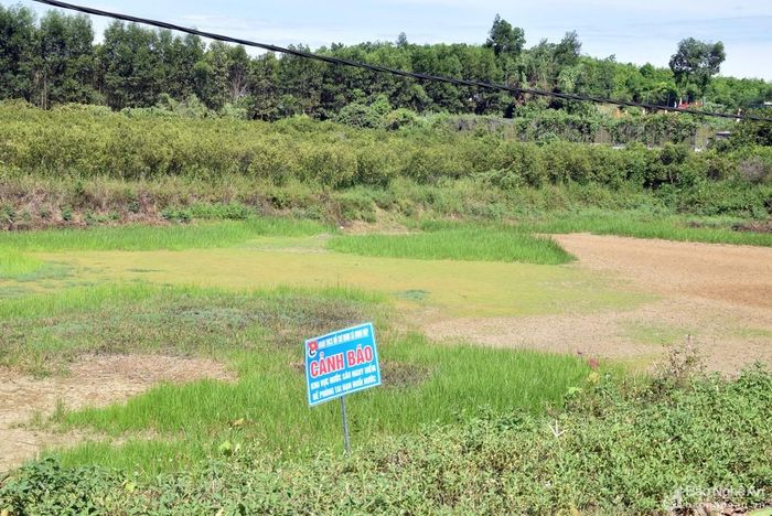 Ông Lê Viết Minh - Giám đốc Công ty TNHH 1 thành viên nông nghiệp Xuân Thành cho hay, toàn bộ ao, hồ nhỏ trong vùng trồng cam của huyện Quỳ Hợp đã cạn kiệt nước, nên công tác chống khô hạn cho cam gặp nhiều khó khăn. Ảnh: Xuân Hoàng