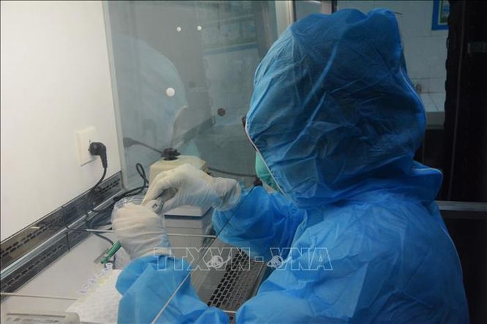 Xét nghiệm sàng lọc các mẫu thử nghi mắc COVID-19. Ảnh: TTXVN
