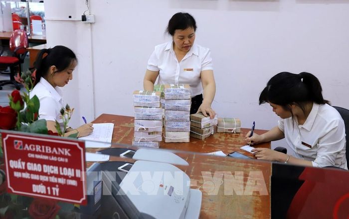 Hoạt động giao dịch tại một chi nhánh của Agribank. Ảnh: Quốc Khánh - TTXVN
