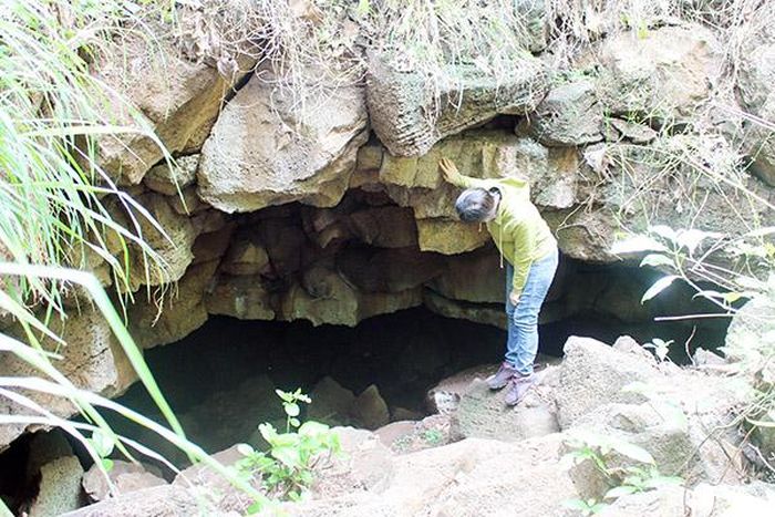 Một hang Dơi trong rừng thuộc địa phận xã Phú Vinh (H.Định Quán)
