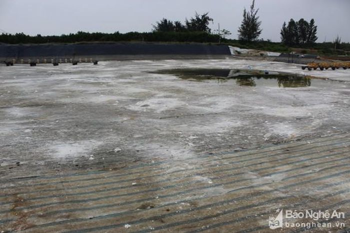Nhiều diện tích nuôi tôm ở Quỳnh Lưu đã thu hoạch xong, bà con đang xử lý ao hồ để tiếp tục thả nuôi vụ 2. Ảnh: Hồng Diện