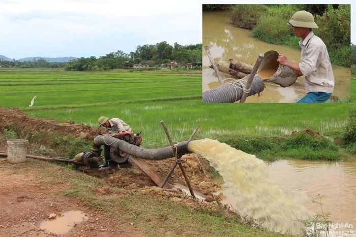 Nông dân xã Thượng Sơn, huyện Đô Lương đặt máy bơm dã chiến bơm nước cứu lúa vùng cuối nguồn. Ảnh: Văn Trường