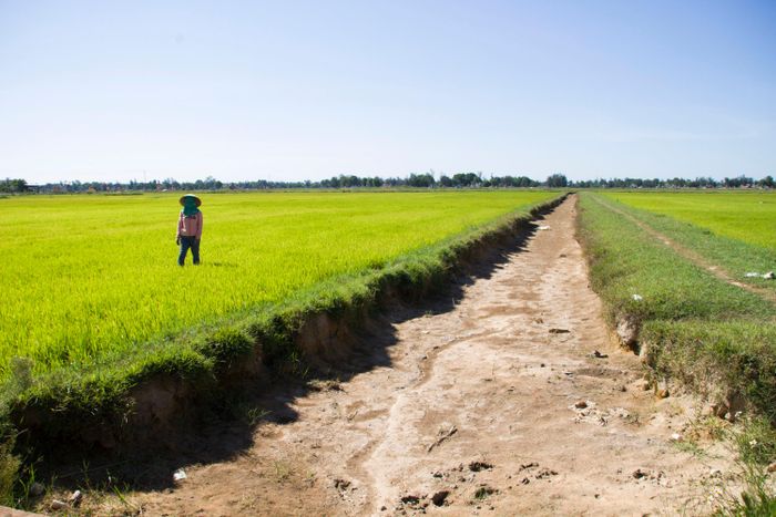 Kênh, mương nội đồng thuộc địa bàn xã Gio Hải cạn trơ đáy