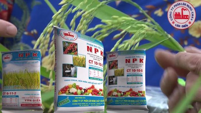 Tất cả các chất dinh dưỡng trong phân nung chảy Văn Điển được cây trồng hấp thụ hết trên 98%