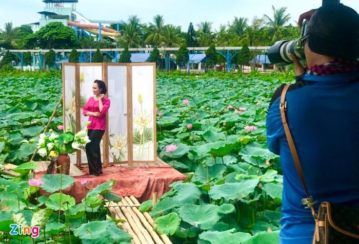  Sen vào mùa không chỉ mang vẻ đẹp mà còn mang giá trị kinh tế cho người dân lao động sống dựa vào loài hoa này. Ảnh: Thanh Thương. 