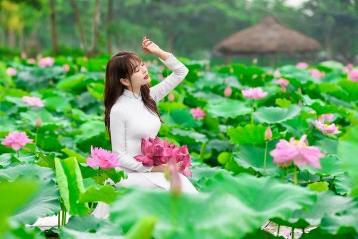  Mùa sen nở rộ trôi rất nhanh, chỉ hơn 1 tháng, nên ai cũng muốn lưu lại khung cảnh lãng mạn này. Ảnh: Ngân Hà. 