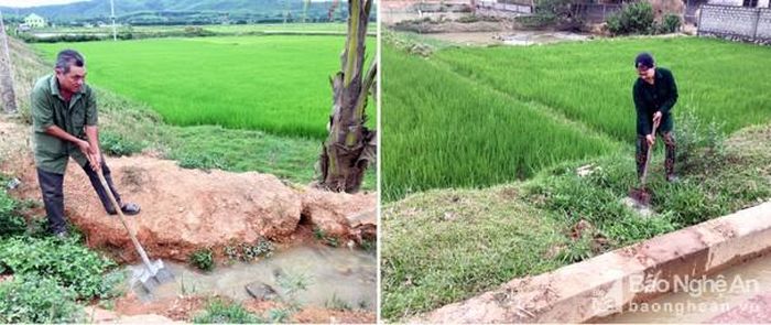 Nhân dân xã Bài Sơn (Đô Lương) phấn khởi điều tiết nguồn nước chống hạn kịp thời cho lúa hè thu. Ảnh Ngọc Phương