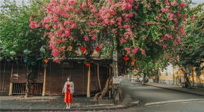 Dù tìm kiếm điều mới mẻ, mình vẫn thích nhất cảm giác dạo quanhphố cổvào một buổi sáng. Quãng thời gian đẹp nhất để ghé thăm phố cổ là từ 7-8h. Lúc này, những con phố không còn dòng người tấp nập hay những hàng quán tất bật. Nhịp sống trở nên chậm rãi, nhẹ nhàng.