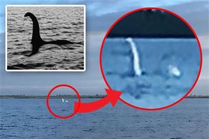 Sinh vật lạ được cho là quái vật hồ Loch Ness xuất hiện ở Nga