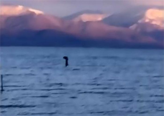 Sinh vật lạ được cho là quái vật hồ Loch Ness xuất hiện ở Albania