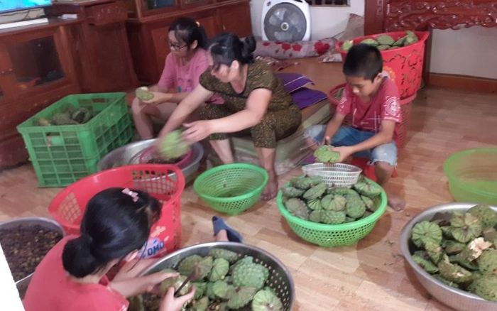 Sau khi thu hoạch, người dân bóc gỡ đài sen. 