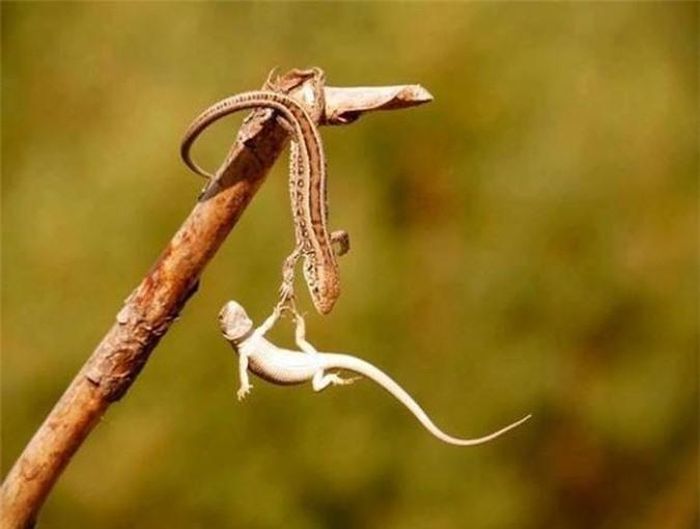 "Đưa tay đây nào, mãi bên nhau bạn nhé". 
