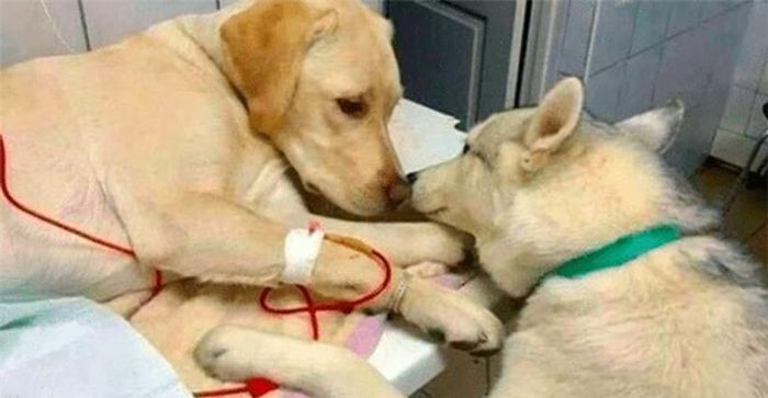"Bạn sẽ ổn thôi mà, mình hứa đấy". 