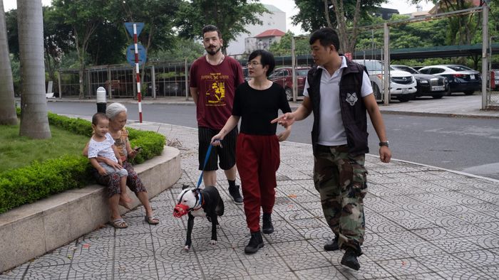  Mỗi ngày, tôi dậy từ 4h30 để đi huấn luyện một chú chó ở Hà Đông, cách khoảng 20 km. Chú chó này tên là Jiro, chỉ có 3 chân, được một gia đình người nước ngoài nhận nuôi từ một trung tâm cứu hộ. Trước khi đón về, họ đã bàn bạc rất kĩ với tôi để Jiro có một môi trường và sức khỏe tốt nhất. 