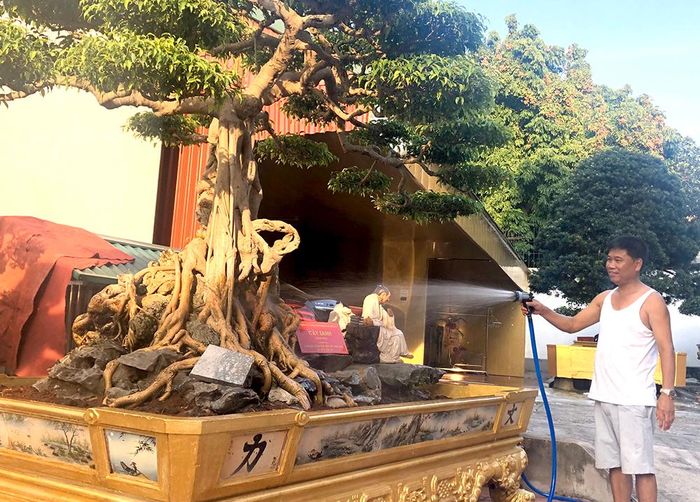 Hiện, vườn có 18 cây đã được công nhận cây di sản và khoảng 30 cây có thương hiệu trong làng chơi cây cả nước