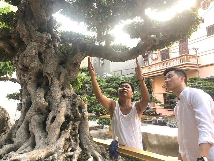 Ông Toàn là người có niềm say mê đặc biệt với nghệ thuật chơi cây cảnh