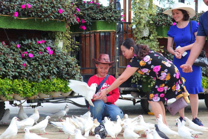 Thời tiết mát mẻ giúp các gia đình đi tham quan Đà Lạt không gặp nhiều khó khăn. Ảnh: ĐOÀN KIÊN