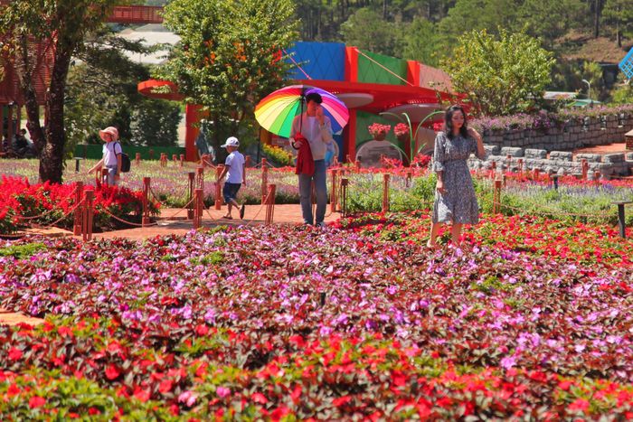 Dạo bước trong vườn hoa rực rỡ sắc màu. Ảnh: ĐOÀN KIÊN