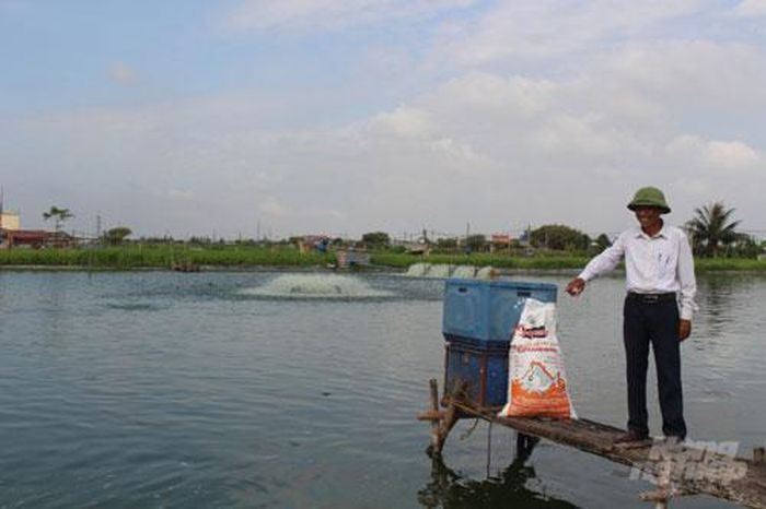Trang trại nuôi trồng thủy sản của gia đình ông Năm rộng đến 6ha, trong đó có 5ha diện tích mặt nước. Ảnh: Mai Chiến.