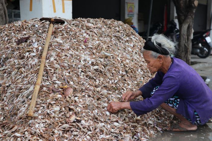 Không chỉ có các loại cá, hải sản ở đây còn có ghẹ, tôm tít... đầy ắp bến chợ.