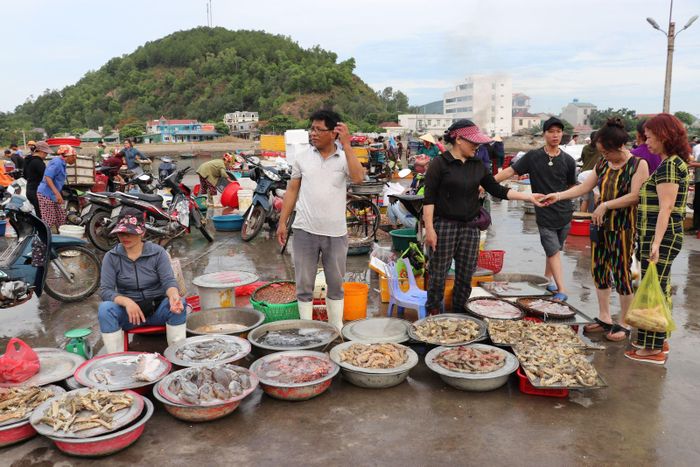 Các loại hải sản được đều rất tươi, giá cả vừa phải, thu hút khách du lịch.