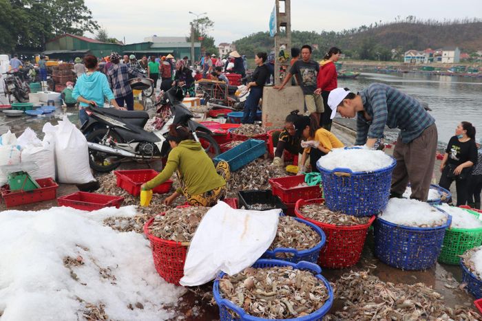 Nhiều mẻ cá tôm được đưa từ tàu lên bờ, ướp đá ngay và chuyển lên xe đông lạnh tỏa đi các địa phương.