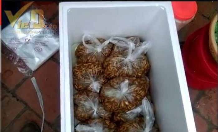 Nhộng tằm không rõ nguốn gốc có thể nguy hại đến sức khỏe người tiêu dùng