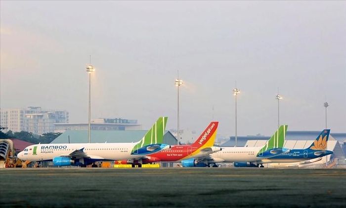 Các hãng hàng không Việt hiện có 214 tàu bay nhưng mới chỉ khai thác 50%.