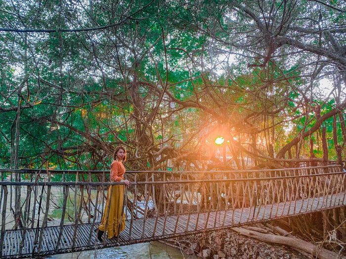 Mà còn được trải nghiệm vượt sông sông Serepok bằng cây cầu Mây