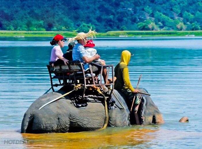 Khác du lịch thích thú cưỡi voi ngắm cảnh hồ Lăk