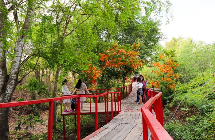Con đường Hàn Quốc với lá phong đỏ bên cạnh cây cầu gỗ đầy thơ mộng làm cho không gian nơi đầy lãng mạn và bình yên đến lạ.