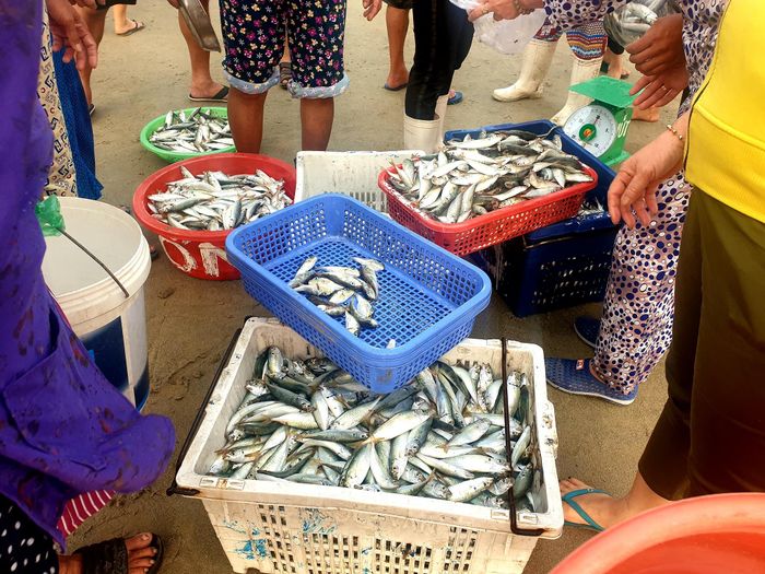  Hải sản được các thương lái thu mua ngay sau khi chuyển lên bờ. 