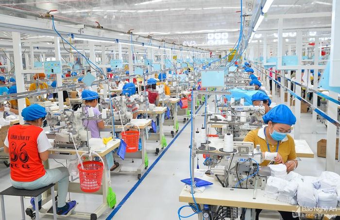 Nhà máy may xuất khẩu của Công ty cổ phần Nam Thuận chính thức đi vào hoạt động với tổng mức đầu tư 178,4 tỷ đồng. Ảnh: Thành Cường