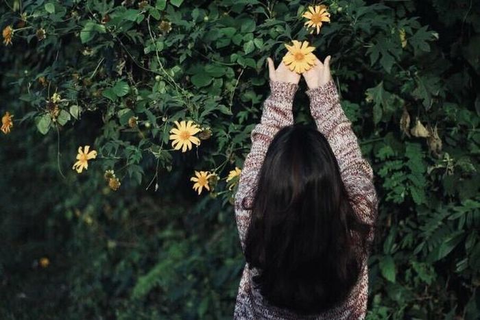  Khi có dịp chạm vào cánh dã quỳ khiến bạn mỉm cười. Ảnh: Mê Tâm. 